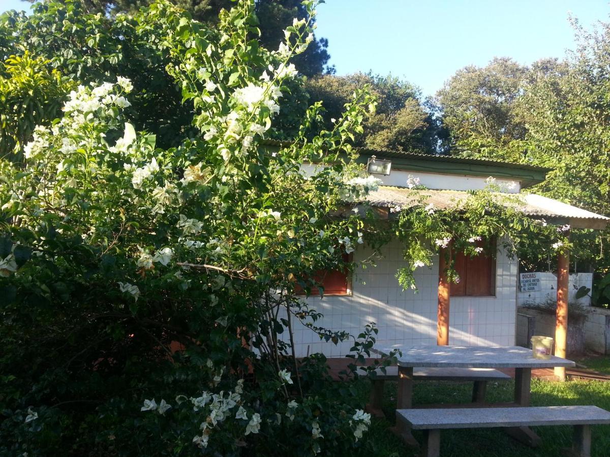 Hotel Los Amigos Puerto Iguazu Ngoại thất bức ảnh