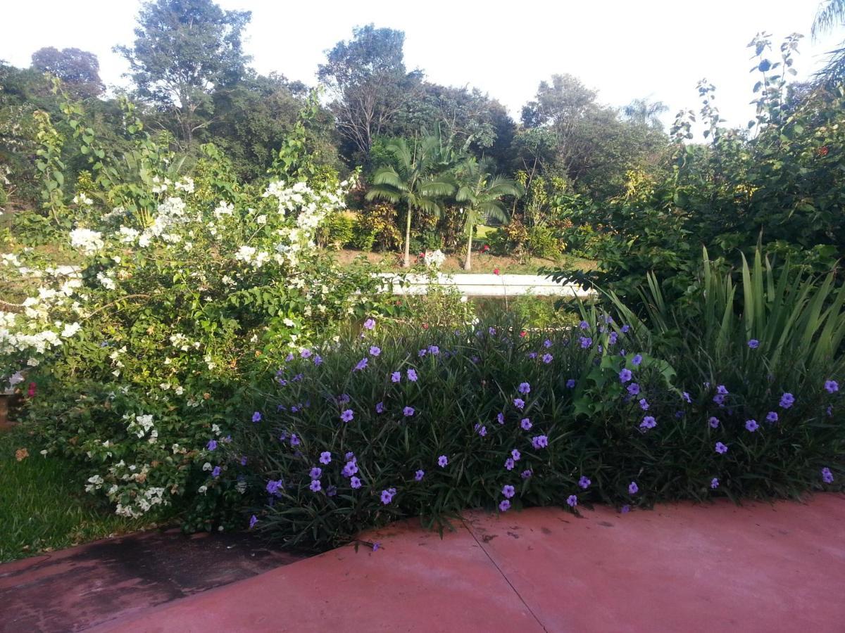 Hotel Los Amigos Puerto Iguazu Ngoại thất bức ảnh