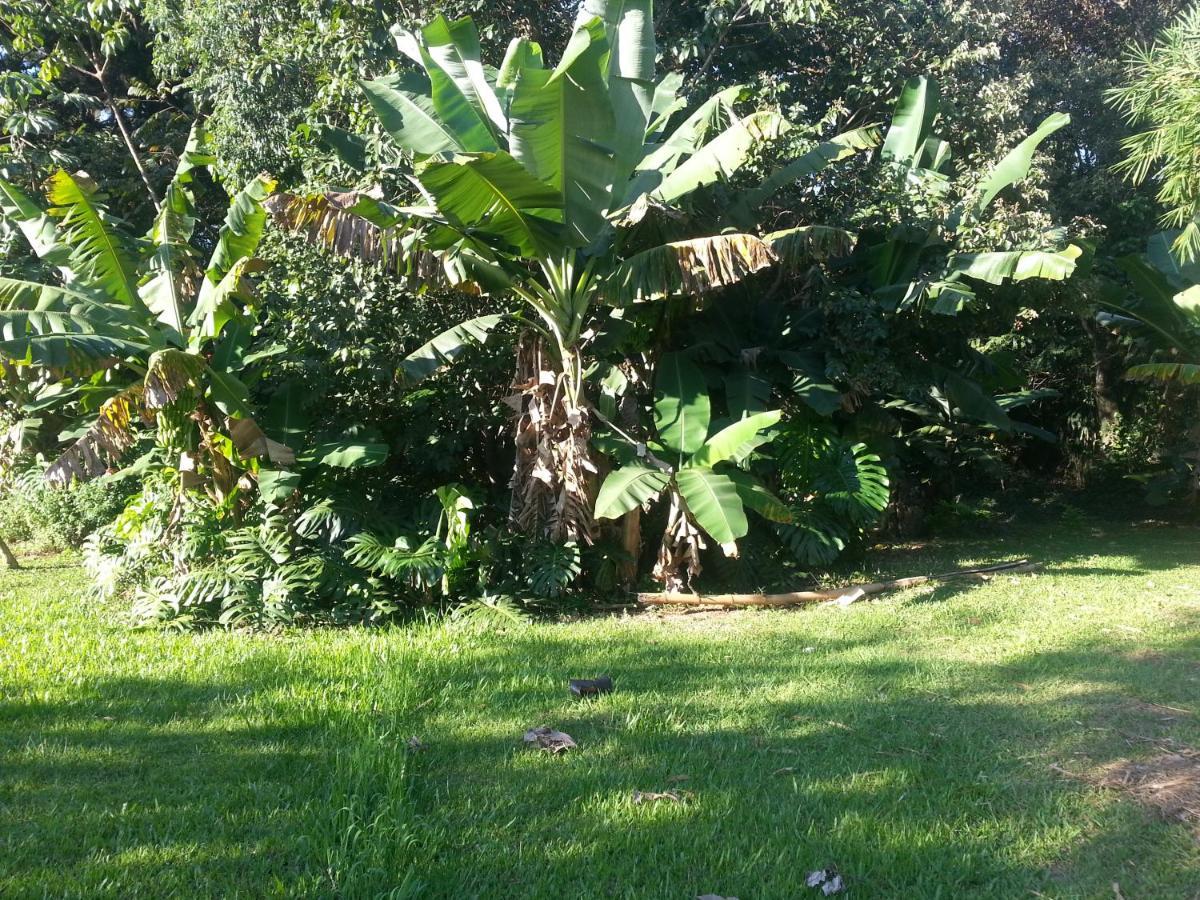 Hotel Los Amigos Puerto Iguazu Ngoại thất bức ảnh