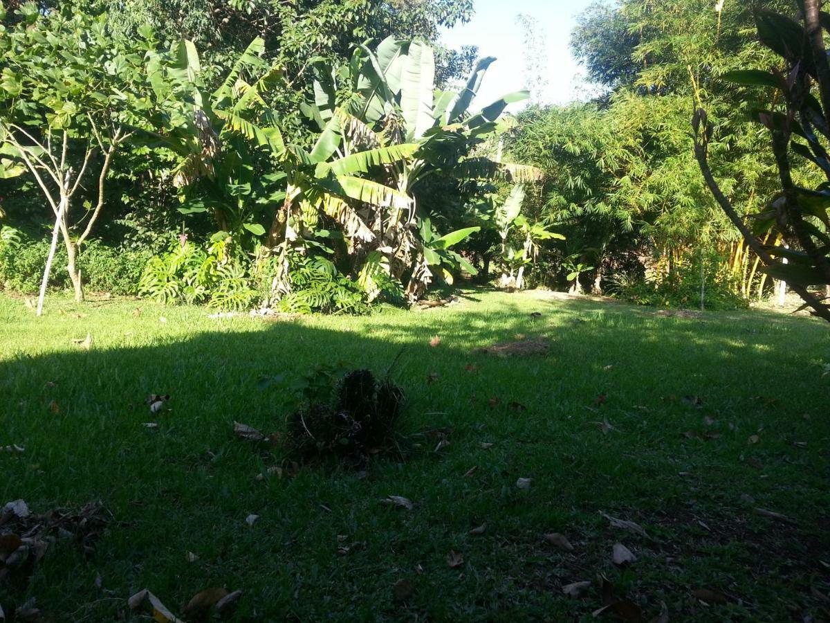 Hotel Los Amigos Puerto Iguazu Ngoại thất bức ảnh