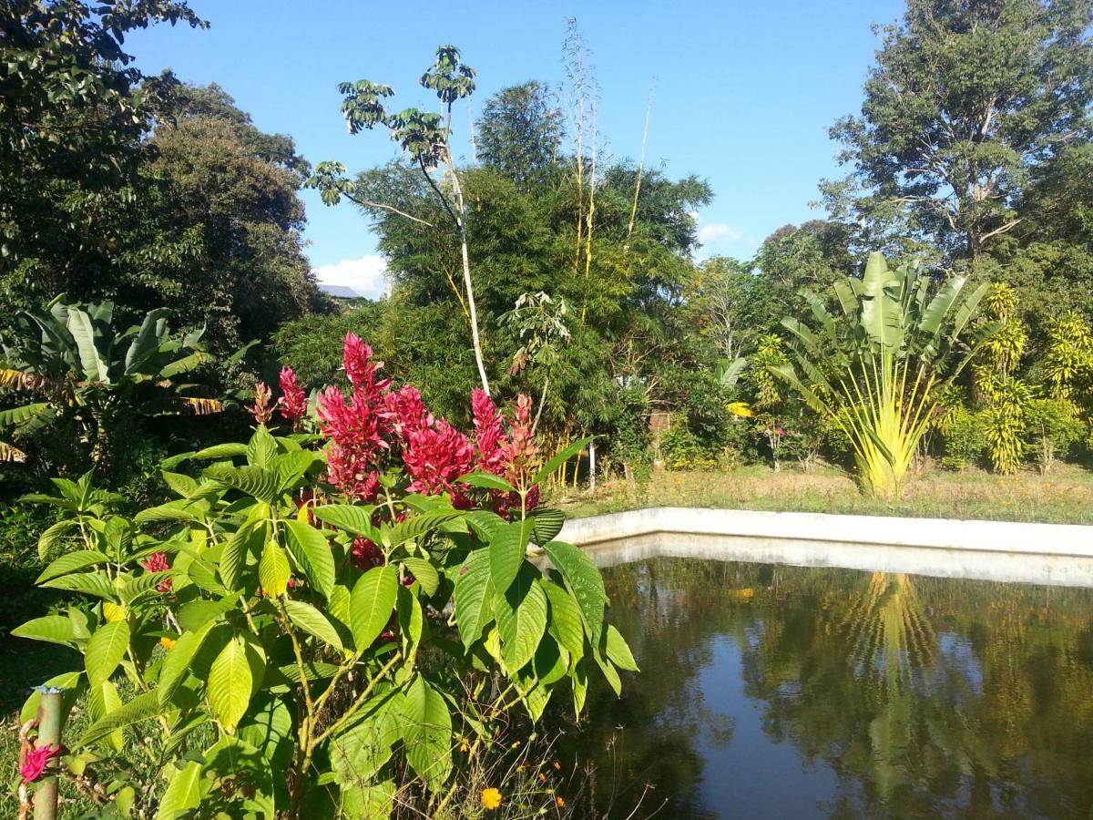 Hotel Los Amigos Puerto Iguazu Ngoại thất bức ảnh