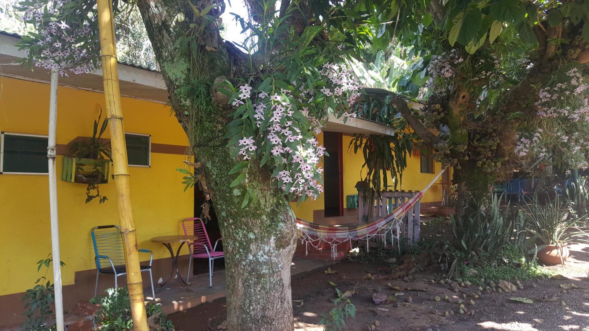 Hotel Los Amigos Puerto Iguazu Ngoại thất bức ảnh